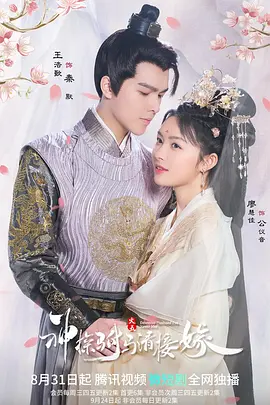 神探驸马请接嫁全集