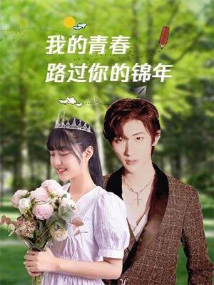 我的青春路过你的锦年全集