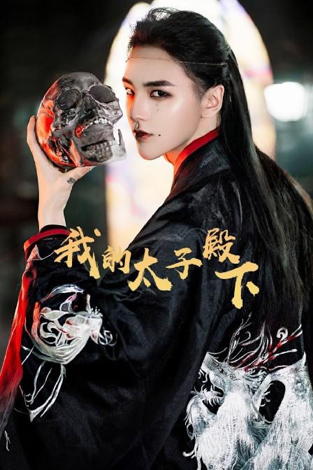 我的太子殿下全集