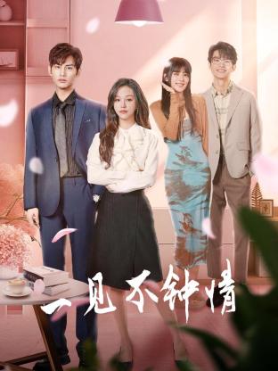 一见不钟情全集