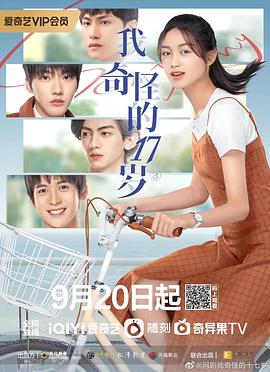 我奇怪的17岁³全集