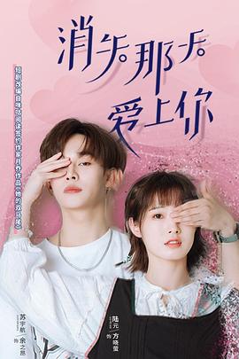 消失那天爱上你全集