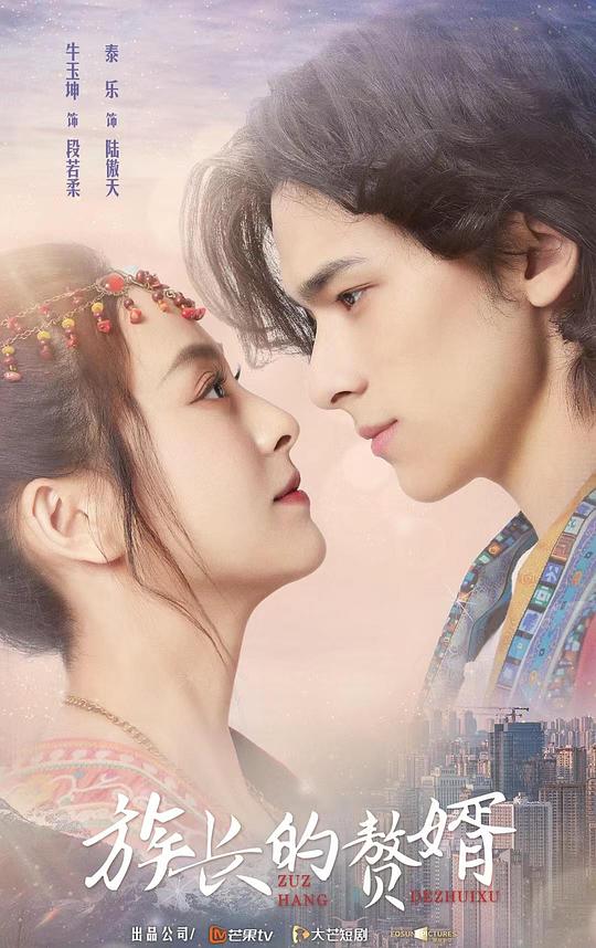 族长的赘婿全集