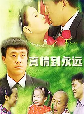 真情到永远全集