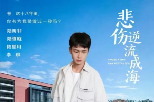 悲伤逆流成海全集