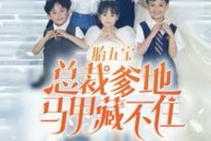 一胎五宝总裁爹地马甲藏不住全集