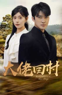 大佬回村全集