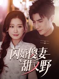 闪婚傻妻甜又野全集