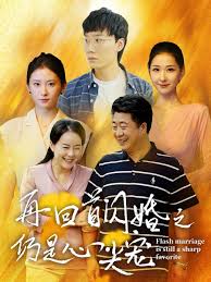 再回首闪婚之仍是心尖宠全集