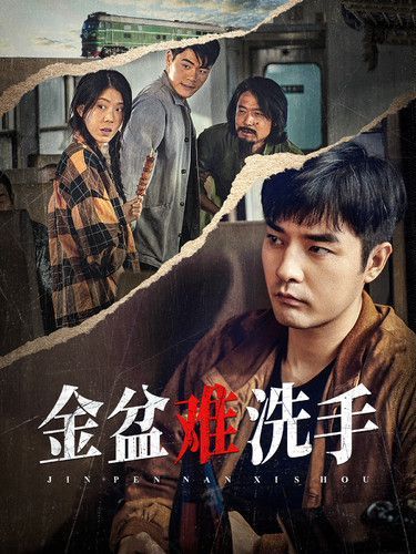 金盆难洗手全集