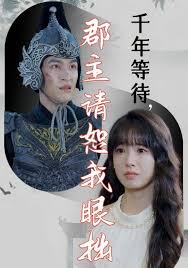 千年等待郡主请恕我眼拙全集
