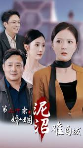 第二十条之婚姻沼泽难自拔全集