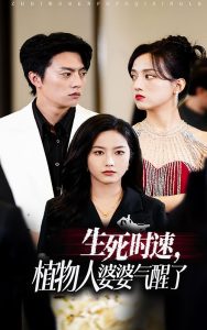 生死时速植物人婆婆气醒了全集