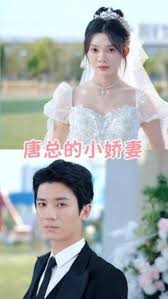 唐总的小娇妻全集