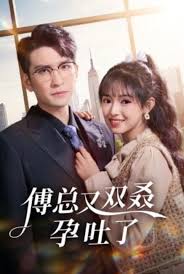 傅总又双叒孕吐了全集