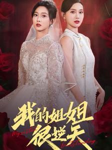 我的姐姐很逆天全集