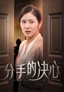 分手的决心全集