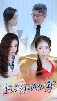 白头不负少年全集