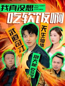 我真没想吃软饭啊全集