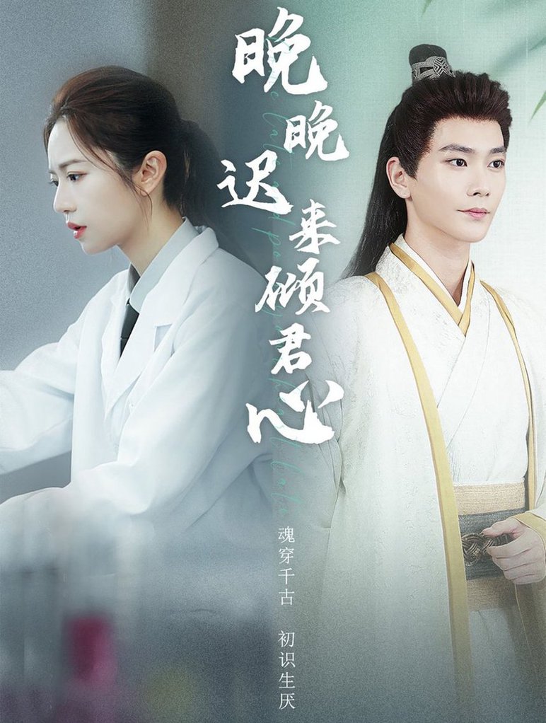 晚晚迟来倾君心全集