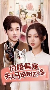 闪婚偏宠，夫人马甲有亿点多全集