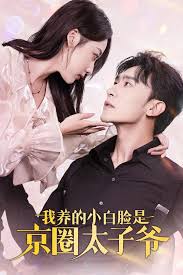 我养的小白脸是京圈太子爷全集
