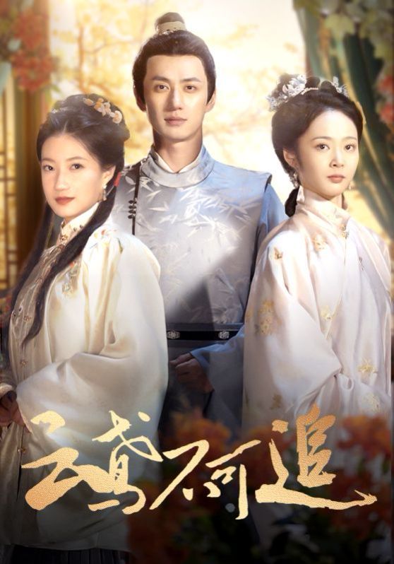 云鸢不可追全集