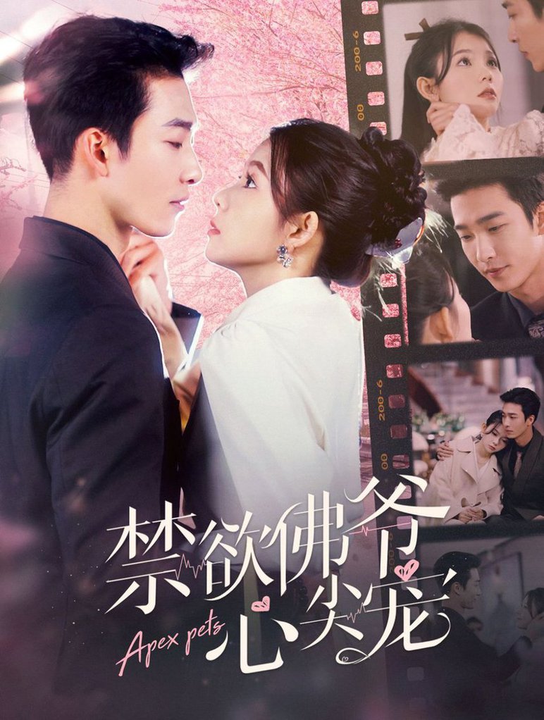 禁欲佛爷心尖宠全集