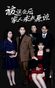 被误会后家人求我原谅全集