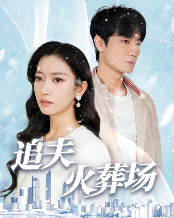 追夫火葬场全集