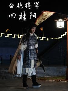 白袍将军回桂阳全集