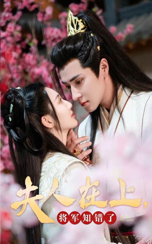 夫人在上将军知错了全集