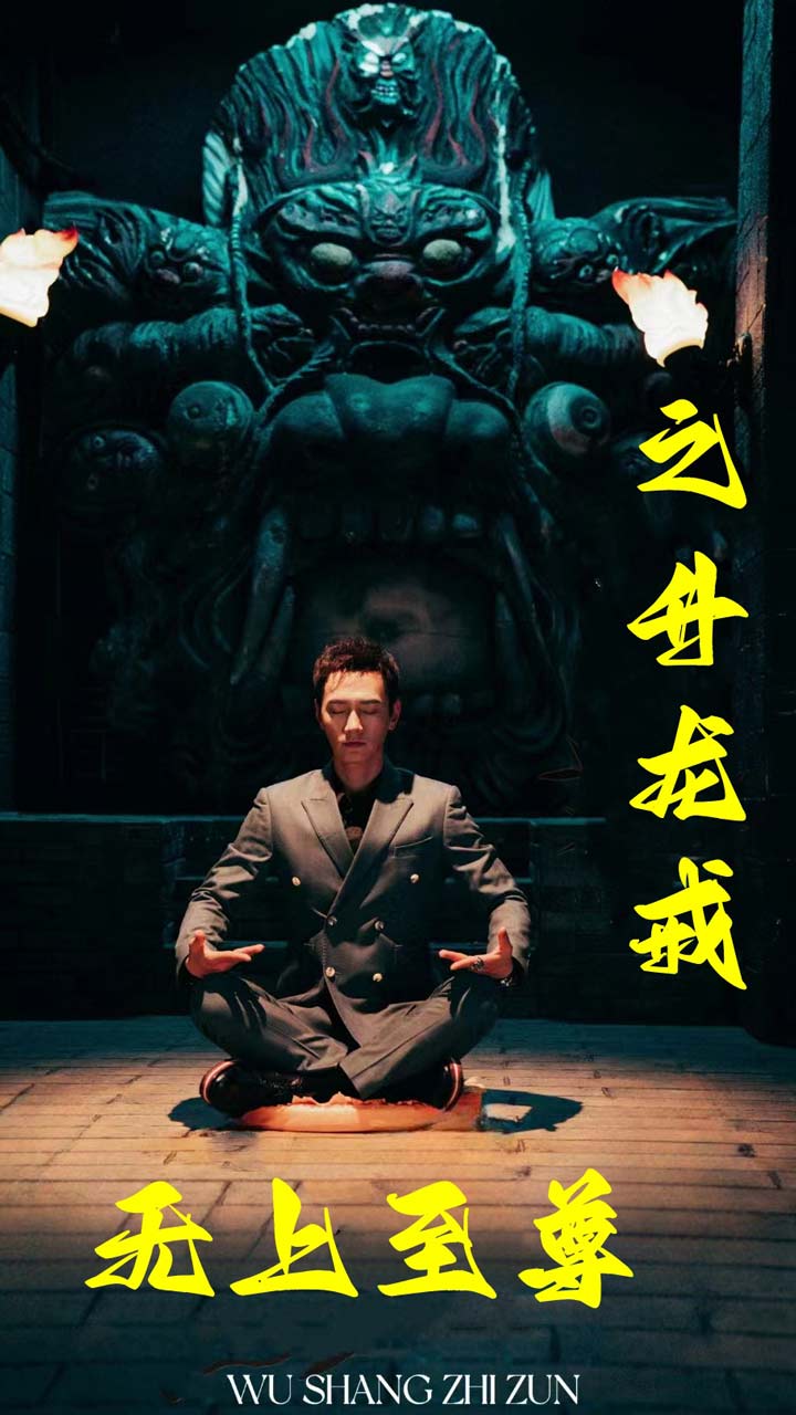 无上至尊之升龙戒全集