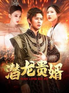 潜龙贵婿全集
