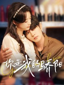 你是我的骄阳全集