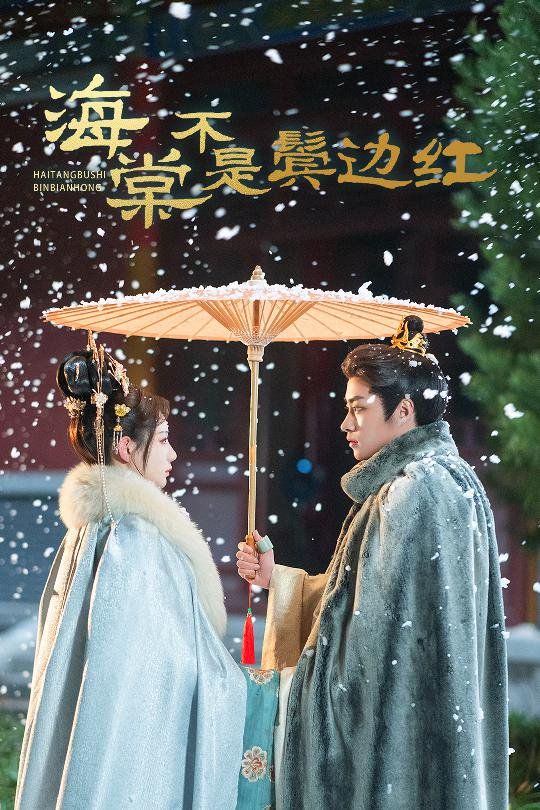 海棠不是鬓边红 人生若只如初见全集