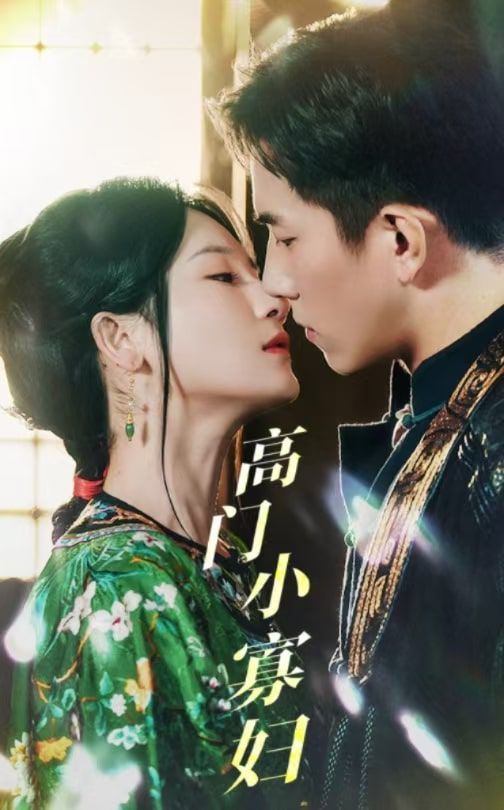 高门小寡妇全集