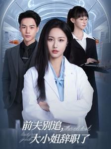 前夫别追大小姐辞职了全集