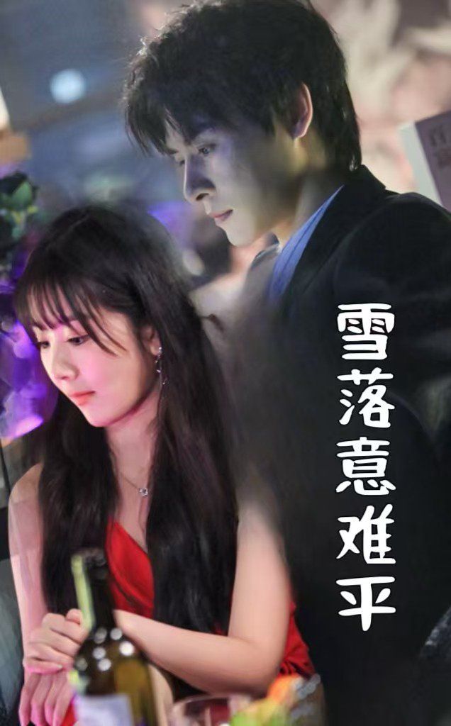 雪落意难平全集