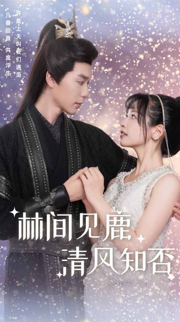 林间见鹿清风知否全集