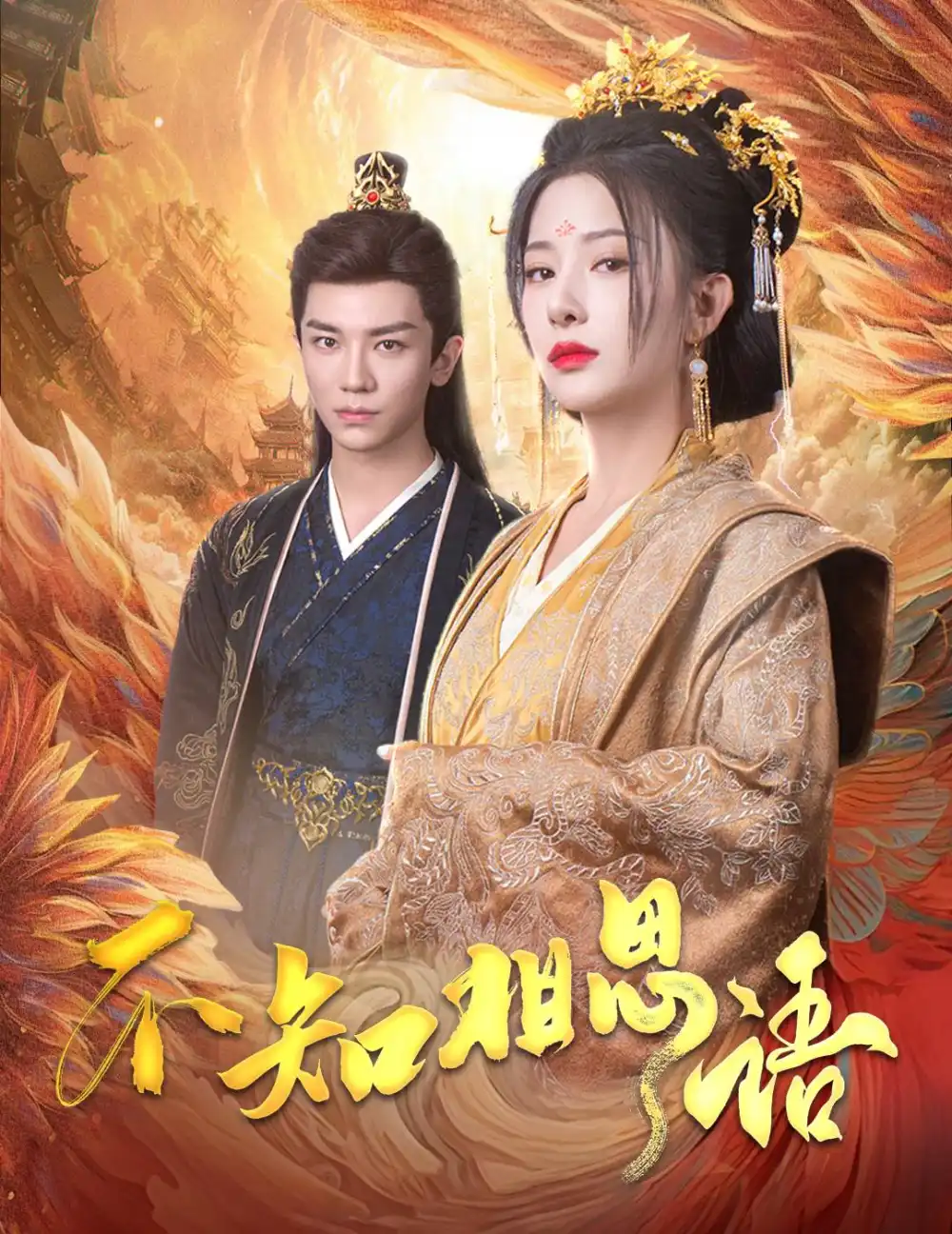 不知相思语 风起相府全集