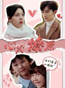 心火燎原 首席萌宝买一送一全集