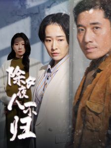 除夕夜人不归全集