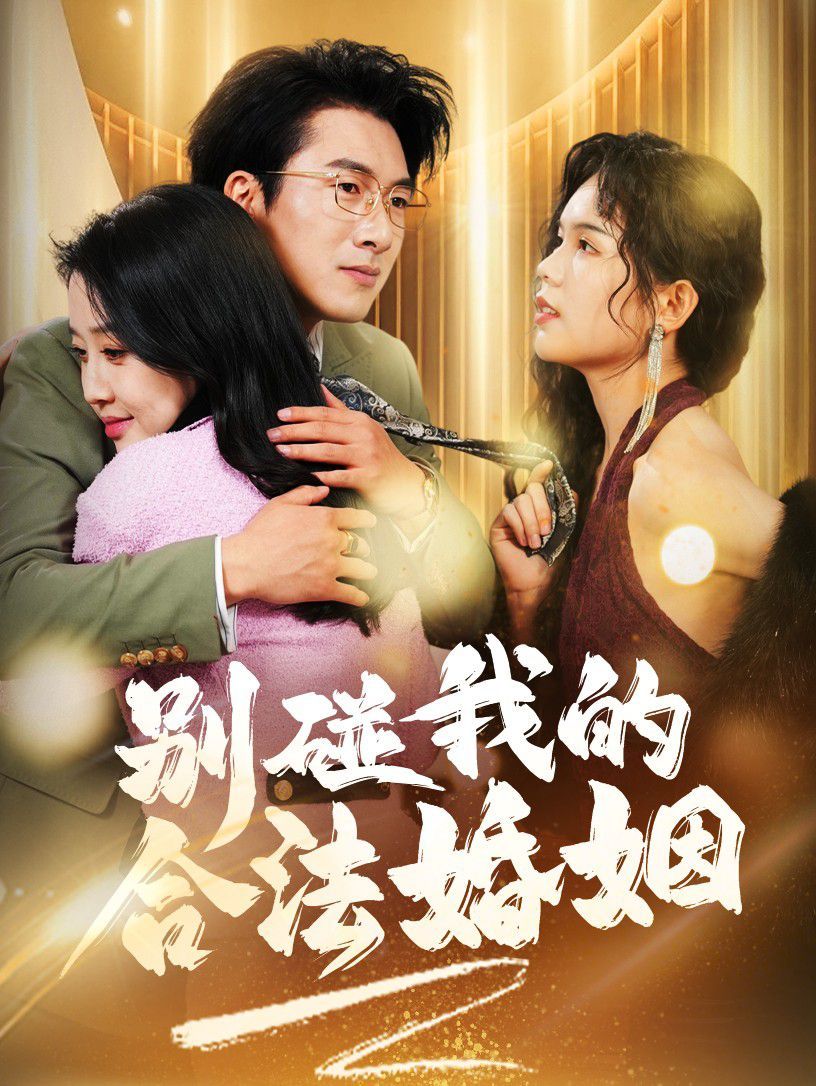 别碰我的合法婚姻 天大地大老婆最大全集