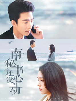 南秘书还没心动全集