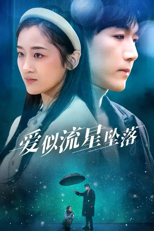 爱似流星坠落 你比我重要万倍全集