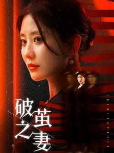 破茧之妻 婚姻的救赎全集