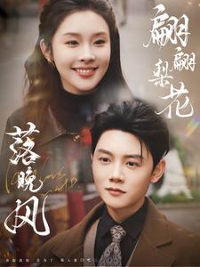 翩翩梨花落晚风全集