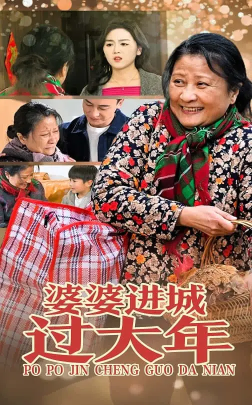 婆婆进城过大年全集
