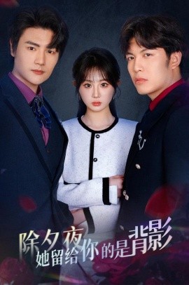 除夕夜她留给你的是背影 一厢情愿两自伤全集